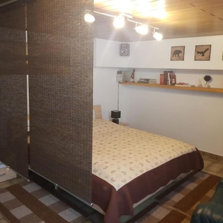 Gemuetliche Ferienwohnung Mit Kamin Und Sauna! Nistertal Екстериор снимка