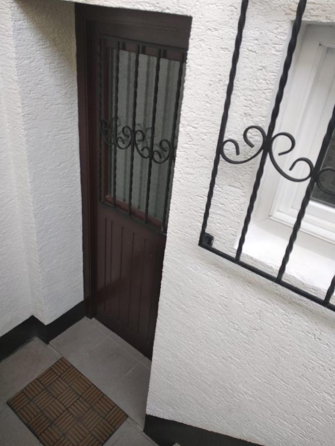 Gemuetliche Ferienwohnung Mit Kamin Und Sauna! Nistertal Екстериор снимка