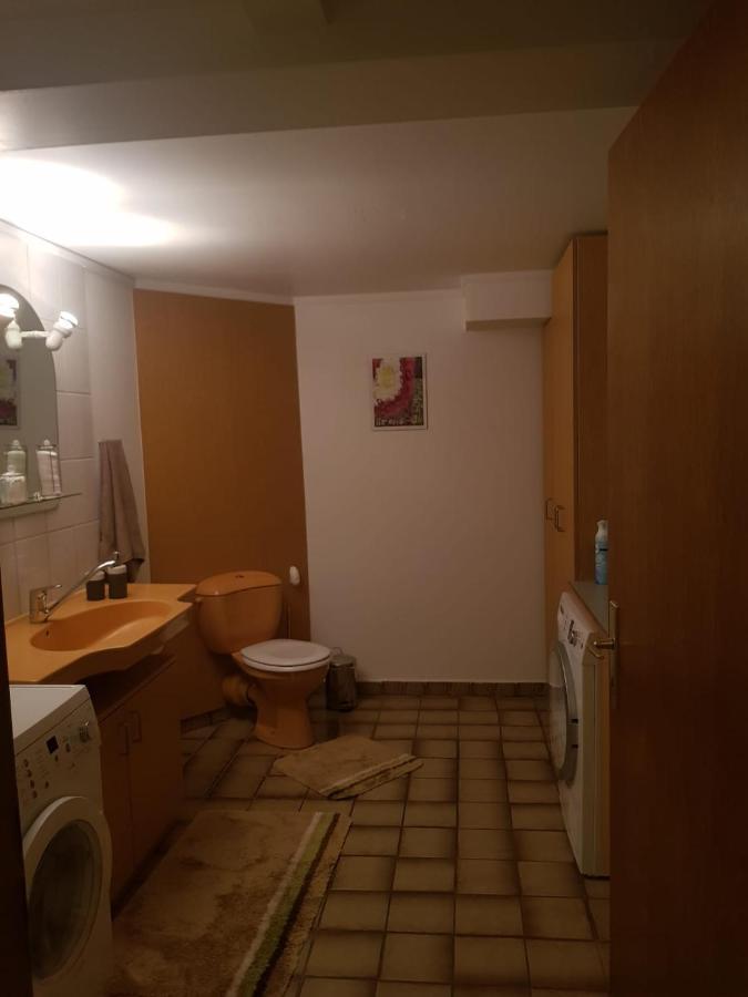 Gemuetliche Ferienwohnung Mit Kamin Und Sauna! Nistertal Екстериор снимка