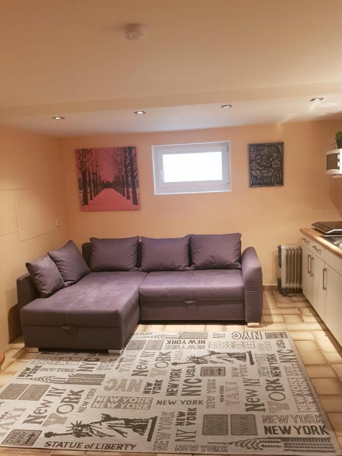 Gemuetliche Ferienwohnung Mit Kamin Und Sauna! Nistertal Екстериор снимка