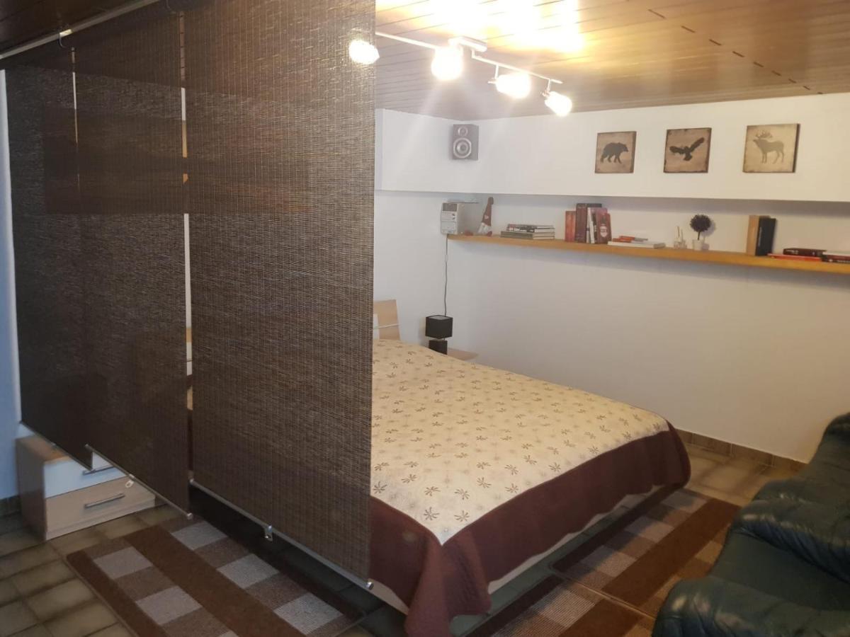 Gemuetliche Ferienwohnung Mit Kamin Und Sauna! Nistertal Екстериор снимка