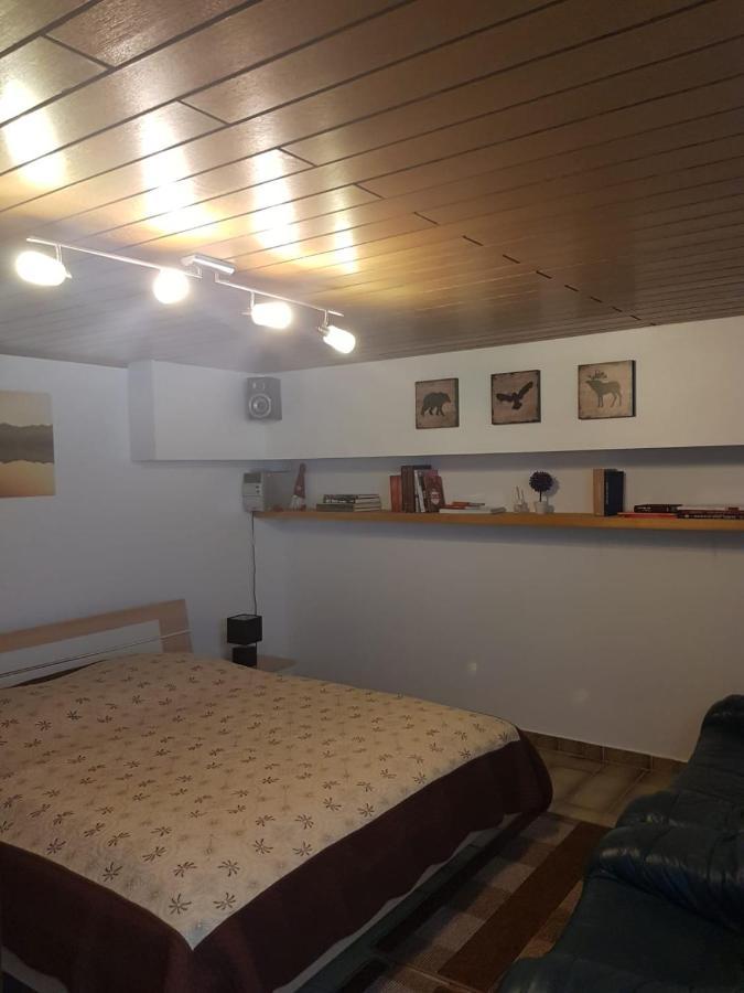 Gemuetliche Ferienwohnung Mit Kamin Und Sauna! Nistertal Екстериор снимка